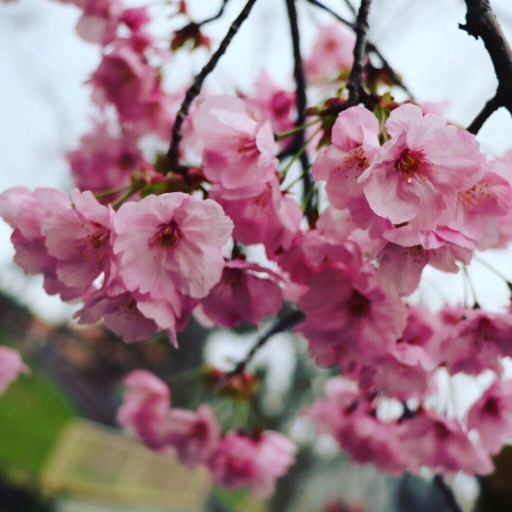 Stop thinking this December/January