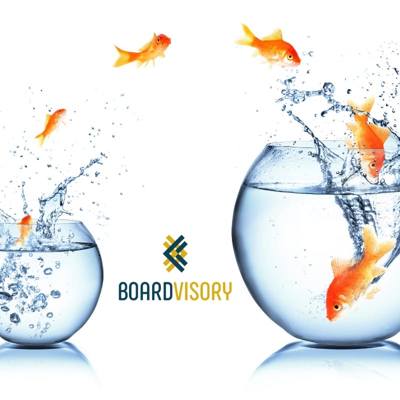 Board Leadership What to expect as a Non-Executive Director